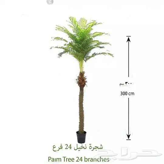 أشجار زينه داخليه 2