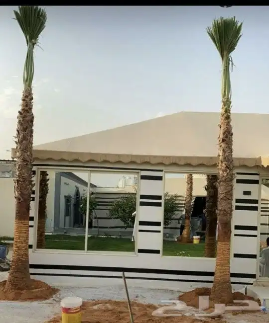 متخصصون في زراعه النخيل المقاسات من1متر ثالا10متر واشنطني زي 5