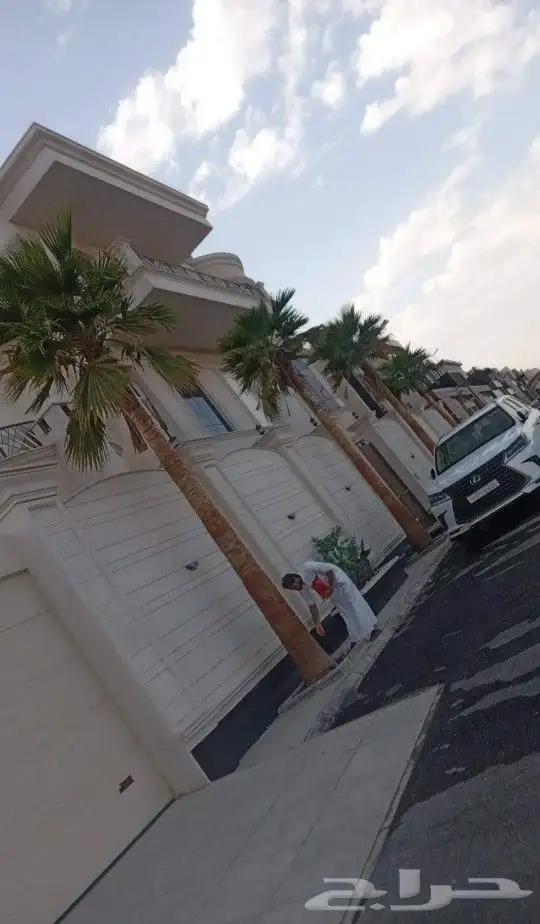 متخصصون في زراعه النخيل المقاسات من1متر ثالا10متر واشنطني زي 11