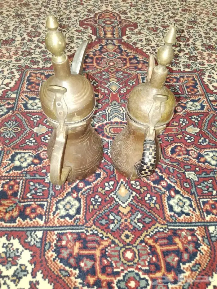 دلتين رسلان 4