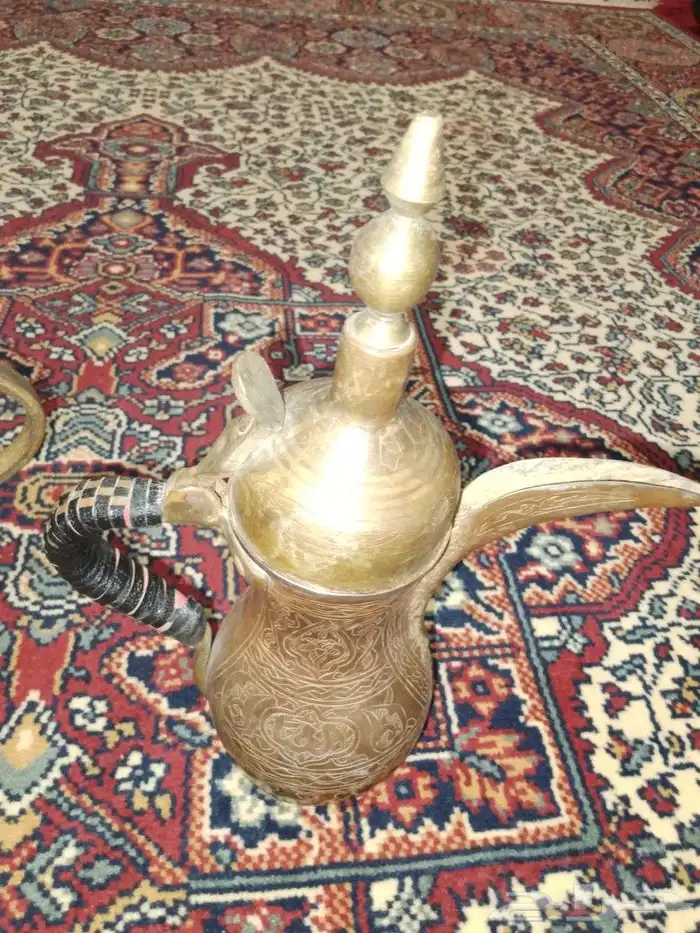 دلتين رسلان 5
