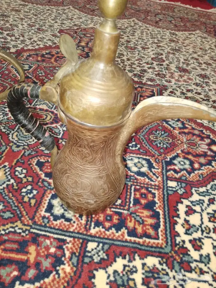 دلتين رسلان 6