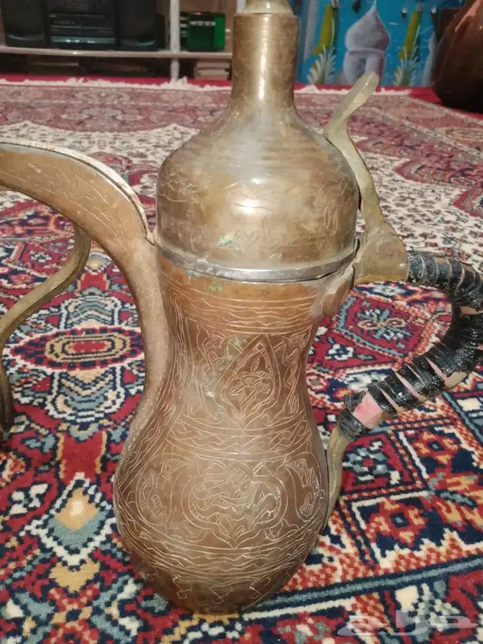 دلتين رسلان 0