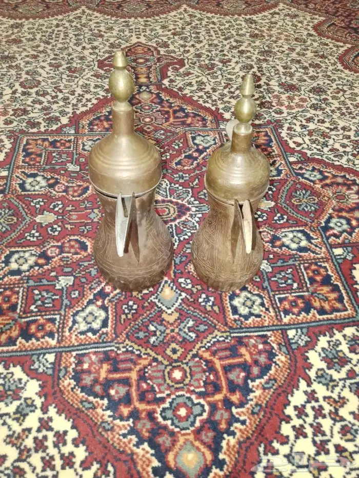دلتين رسلان 2