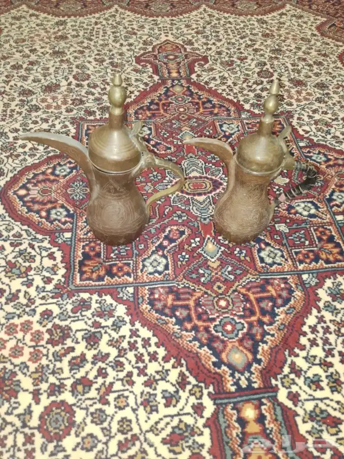 دلتين رسلان 1