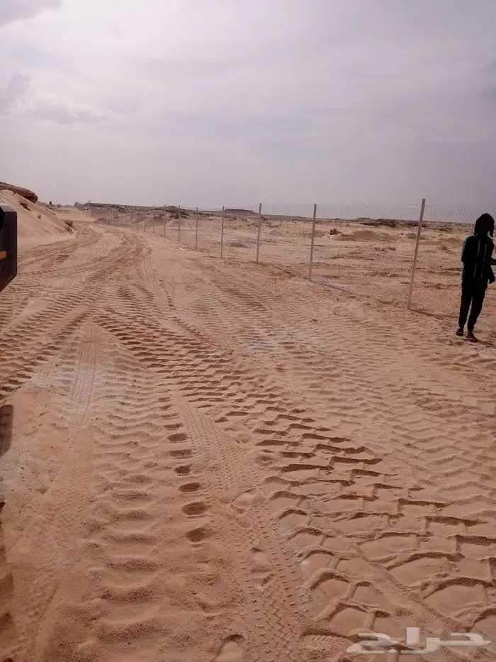 توريد وتركيب جميع انواع الشبوك 2