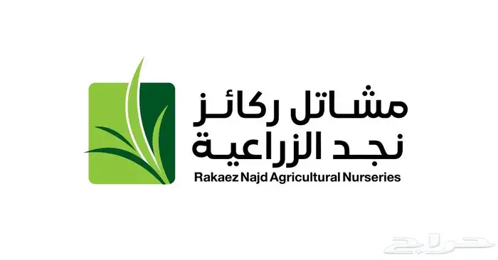 تصميم لوجو LOGO 1