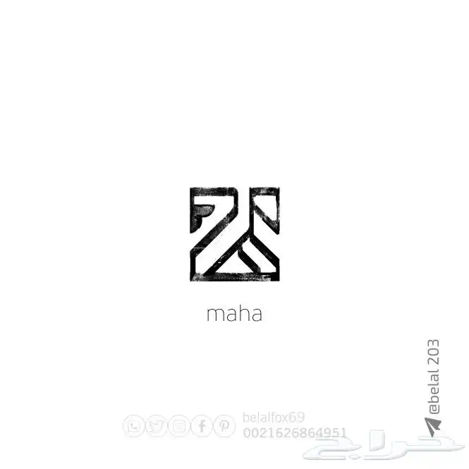 مصمم علامات تجارية محترف 27