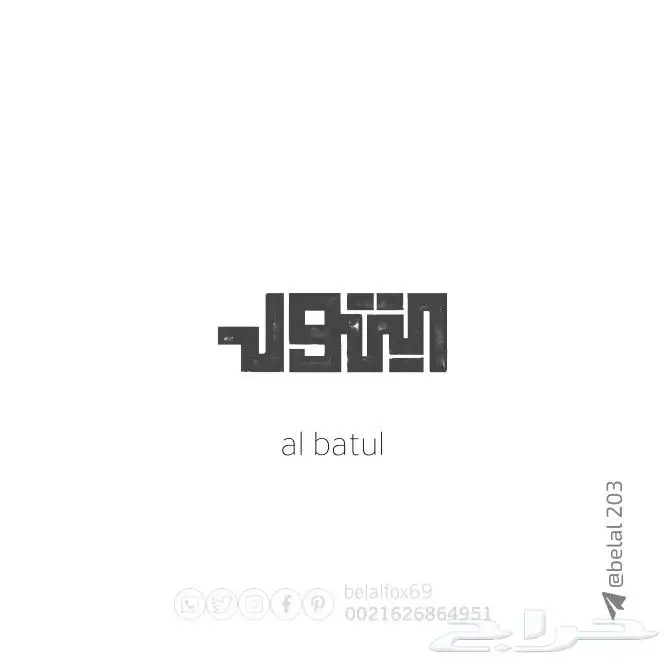 مصمم علامات تجارية محترف 12