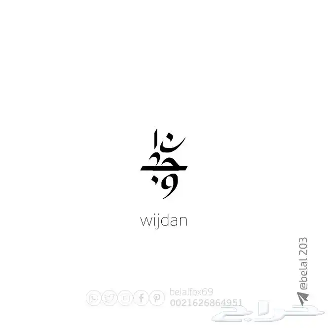 مصمم علامات تجارية محترف 25
