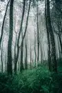 نعلات فايبر 10