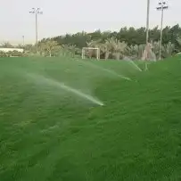 عشب طبيعي تيل صناعي زراعي ذراعه جميع انواع التيل اشجار ورود 3