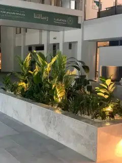 اشجار زيتون صناعي 4