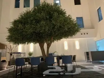 اشجار زيتون صناعي 1