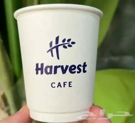 مطبعة طباعة أكواب كرتون وبلاستيك وبورسلان ورقية دبل وسنغل 8