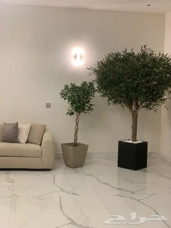 اشجار زيتون صناعي 6