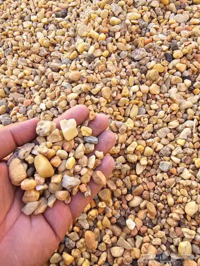 الجمله خرصان حصم مرو دفان 10