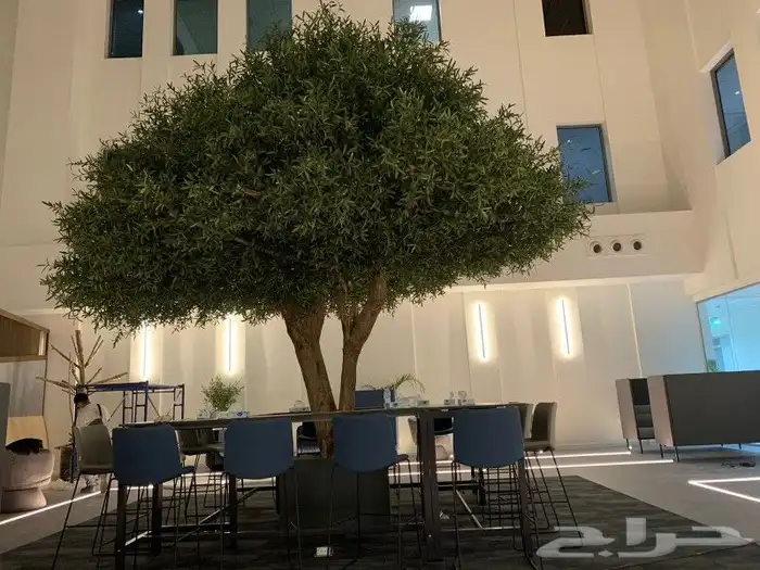 اشجار زيتون صناعي 8
