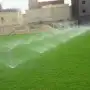 عشب طبيعي تيل صناعي زراعي ذراعه جميع انواع التيل اشجار ورود 6