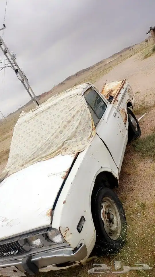داتسون بكب كلاسيك 78 محركات على الشرط كل شي شغال 1