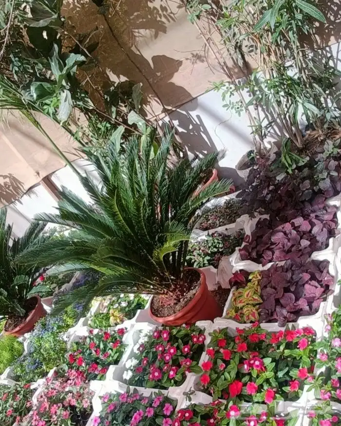 منسق حدائق وزراعة الثيل 9