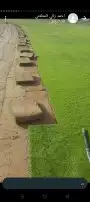يوجد لدينا جميع انواع الثيل سي2000 وياباني وانتورووثيل صناعي 4