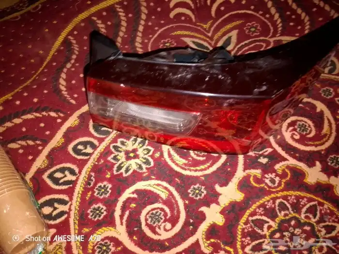 كبوت رفرف باب و صدام و اسطب يارس 2024 2