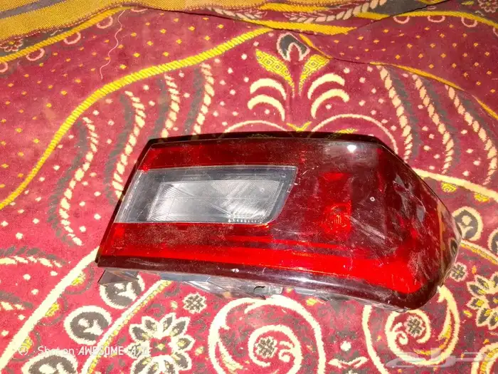 كبوت رفرف باب و صدام و اسطب يارس 2024 3