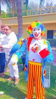 اسيل لحفللات الاطفال 4