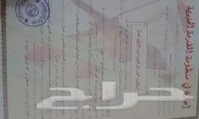 مدرس خصوصي تأسيس وتحفيظ قرآن ومتابعة للمواد بالمدينة 5