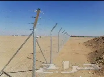 يوجد لدينا جميع انواع النخيل العربي ولواشنطن ابومروحه 4