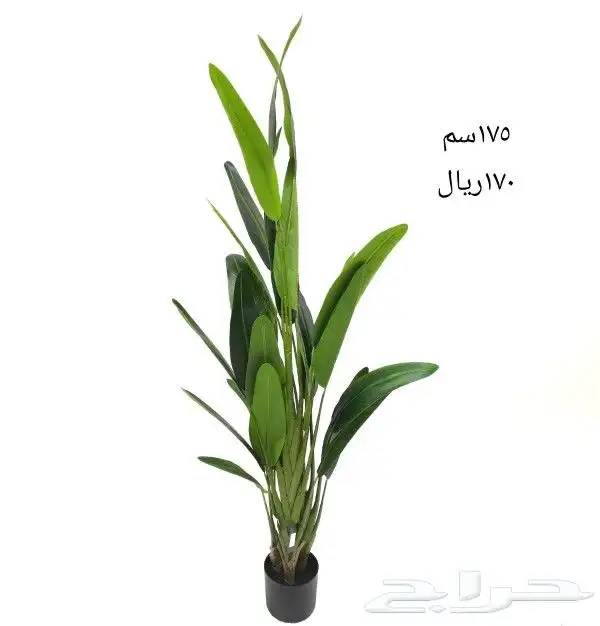 شجر صناعي 39