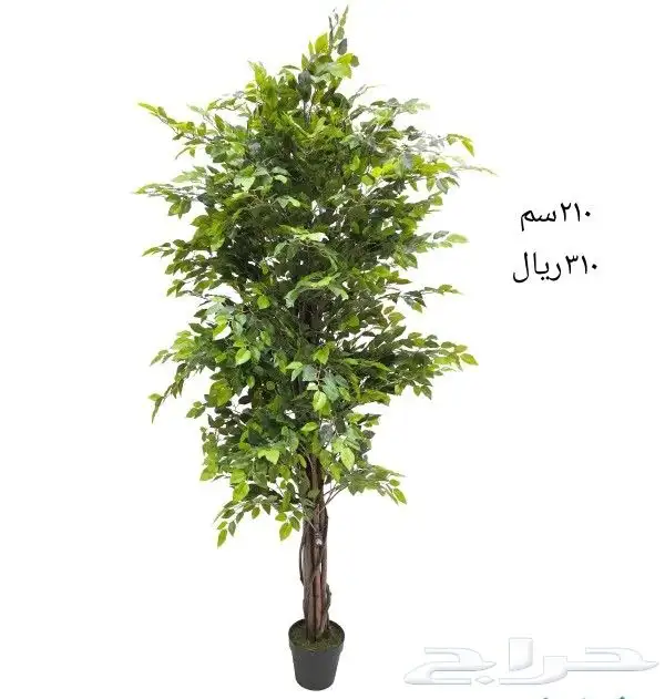 شجر صناعي 37