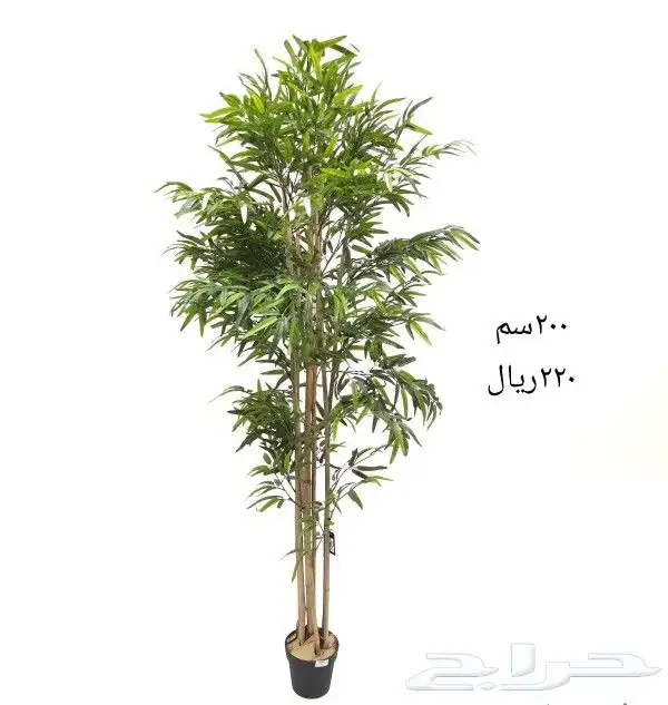 شجر صناعي 42