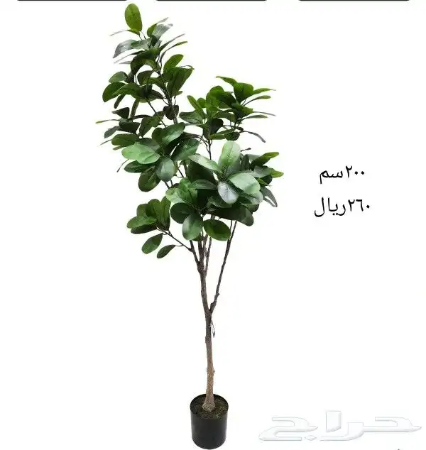 شجر صناعي 48