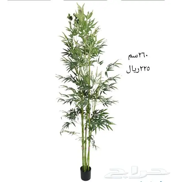 شجر صناعي 49