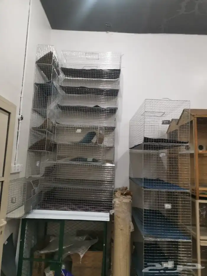 مشارب ومعالف طيور ومستلزماتها 4