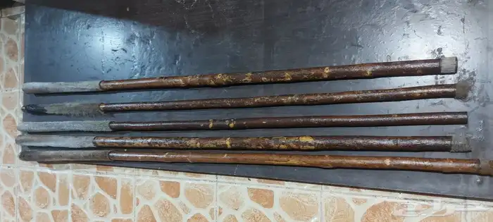 عصي مزمار النوع لوز وخرونوب مصري عصي قصب مصري وعصي بومب هندي 3