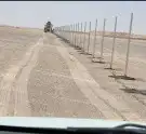 نقوم بتركيب الشبوك بجميع انواعها وتوريد انخيل وزرعها الوشنطن 3
