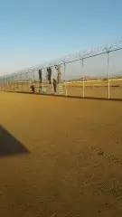 مقاول شبوك بجميع انوعها 1