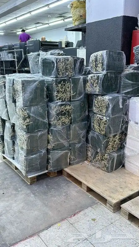 مطابع طباعة دعاية وإعلان بوكسات أكياس شرايط 4