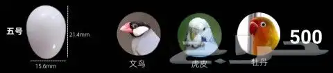 بيض صناعي للحمام والدجاج والطيور المغرده 1