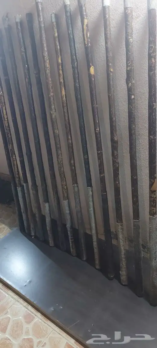 عصي مزمار النوع لوز وخرونوب مصري عصي قصب مصري وعصي بومب هندي 18