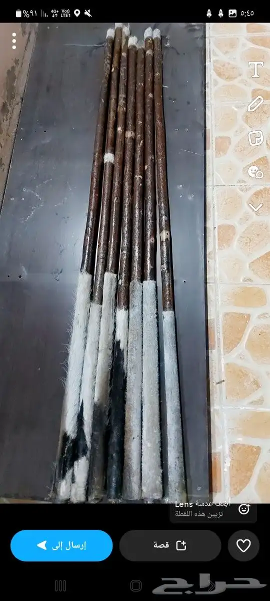 عصي مزمار النوع لوز وخرونوب مصري عصي قصب مصري وعصي بومب هندي 16