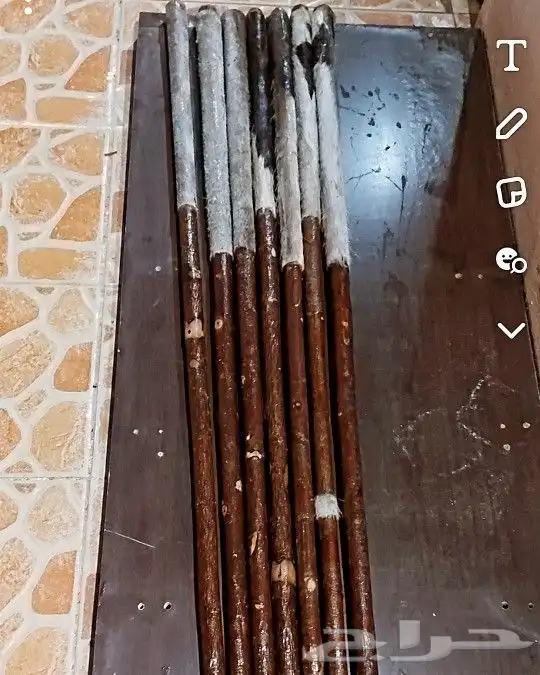 عصي مزمار النوع لوز وخرونوب مصري عصي قصب مصري وعصي بومب هندي 14