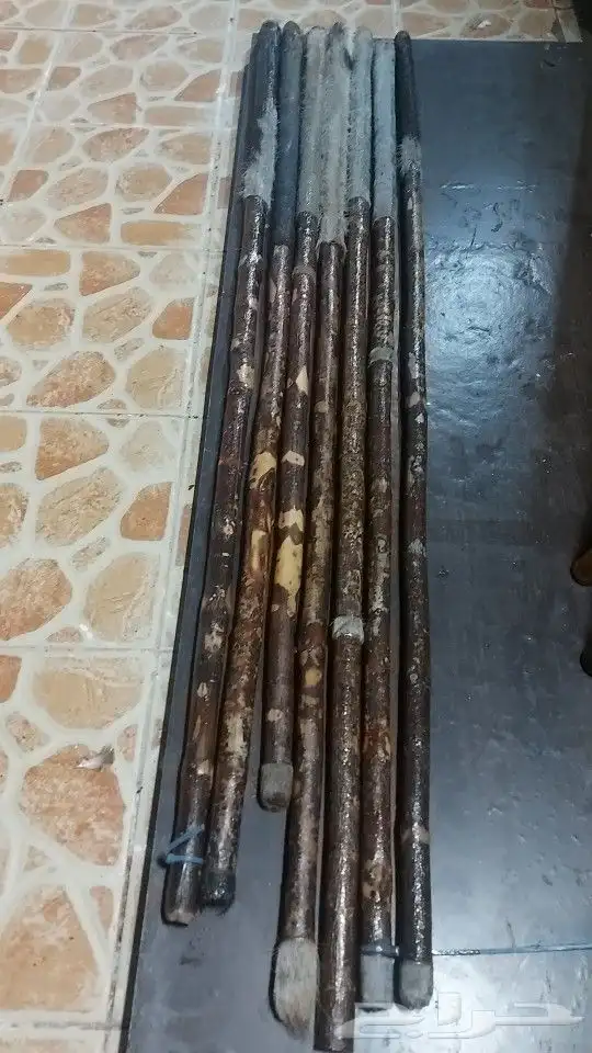 عصي مزمار النوع لوز وخرونوب مصري عصي قصب مصري وعصي بومب هندي 8