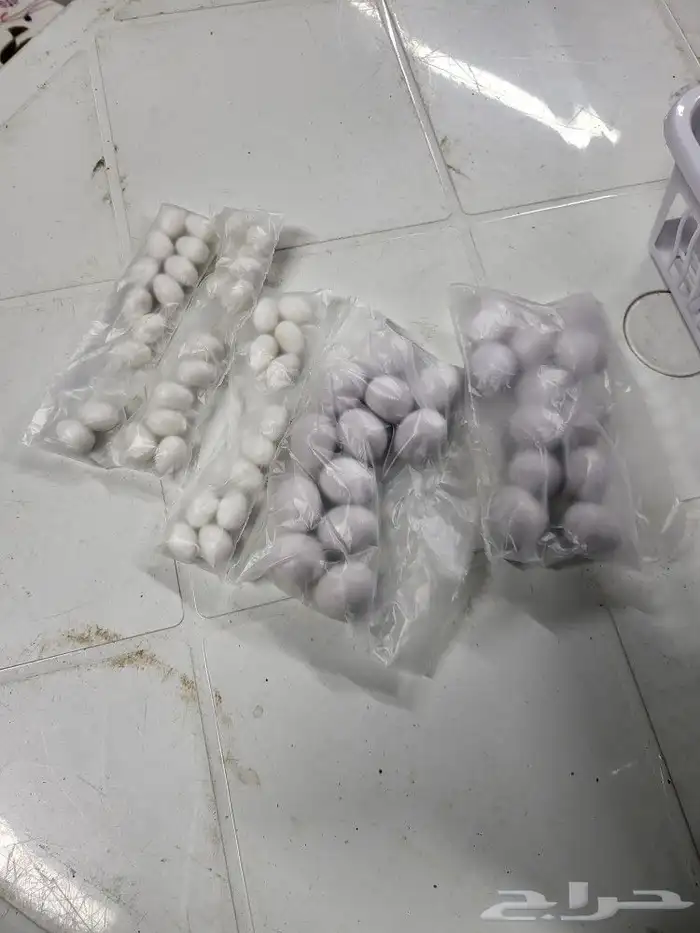 بيض صناعي للحمام والدجاج والطيور المغرده 10