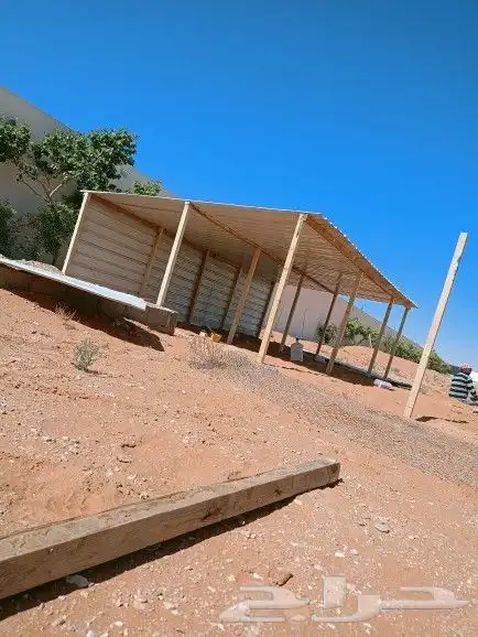 مضلات للحلال 3