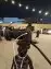 مصور حفلات 8