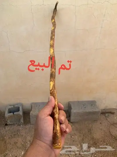 مشعاب كفو ( تم البيع ) 9